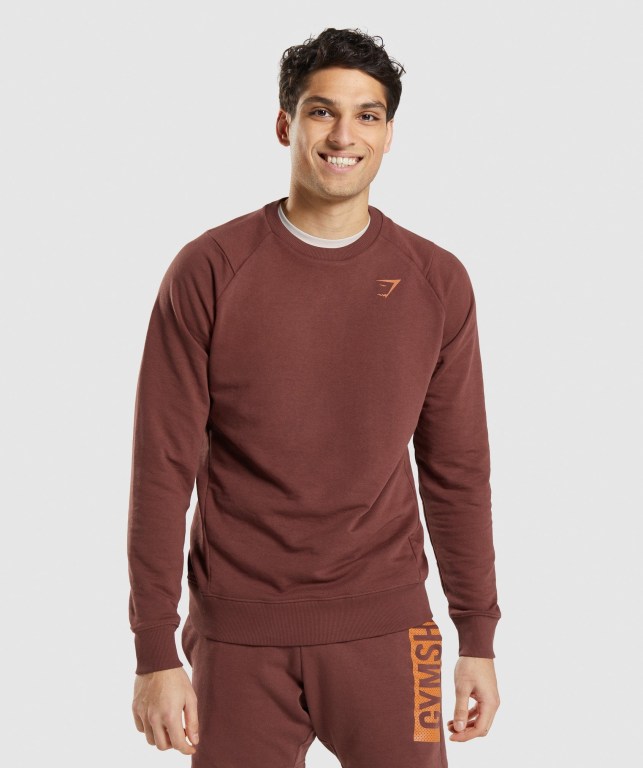 Pullover Gymshark Bold Crew Hombre Rosas Marrom | 5VH7MsLNoXc