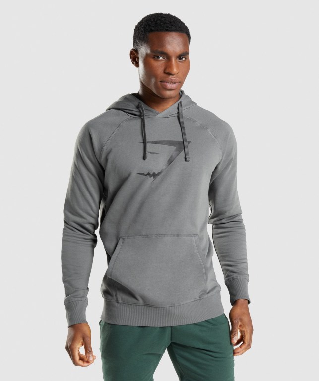 Pullover Gymshark Sharkhead Infill Hombre Grises | 3RlQId2XjpP