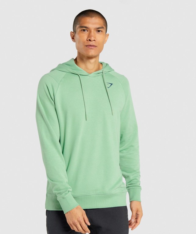 Sudadera Con Capucha Gymshark Bold Hombre Verdes | wY1Y7zZ249F