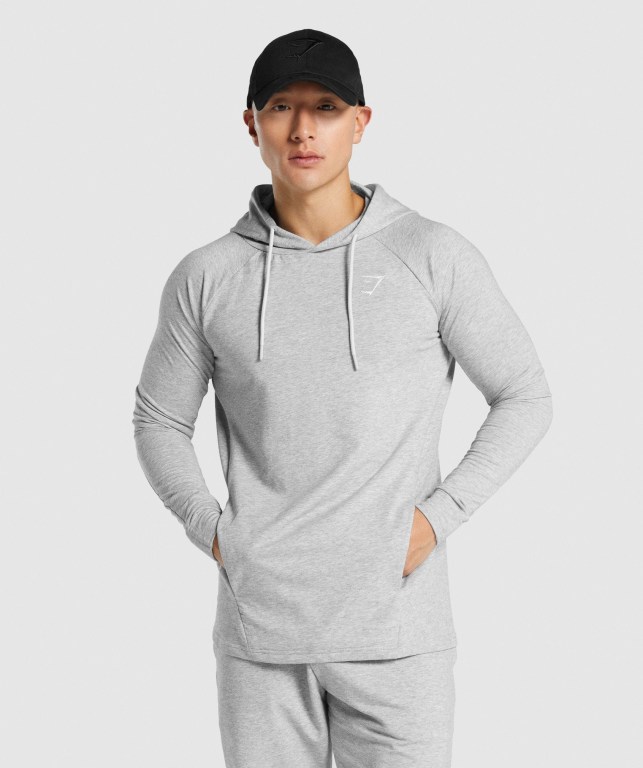 Sudadera Con Capucha Gymshark Critical 2.0 Hombre Grises Claro | YitDbaEUKSr