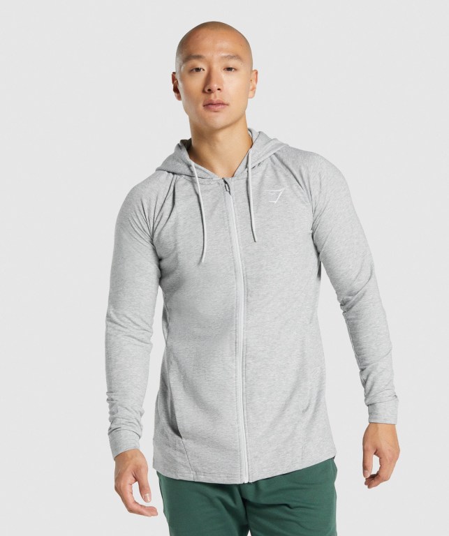 Sudadera Con Capucha Gymshark Critical 2.0 Zip Up Hombre Grises Claro | a4bg3GoWnsX