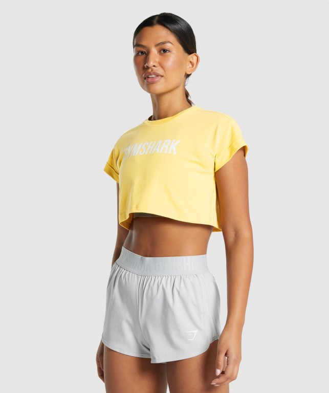 Sudaderas Gymshark Animal Graphic Infill Crop Mujer Amarillos | PutYrxwFhQu