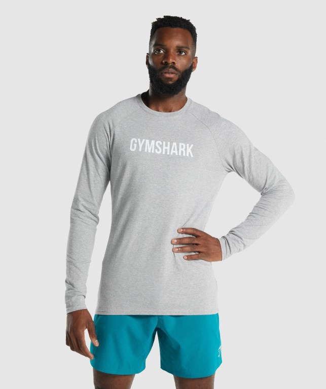 Sudaderas Gymshark Apollo Hombre Grises Claro | ErAYmYv5iJE