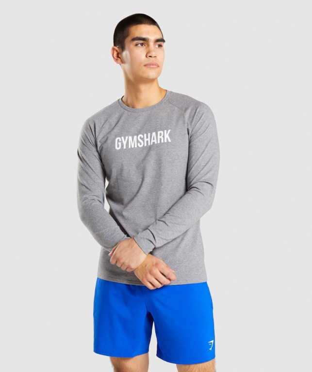 Sudaderas Gymshark Apollo Hombre Grises | ISaNgClPp1z