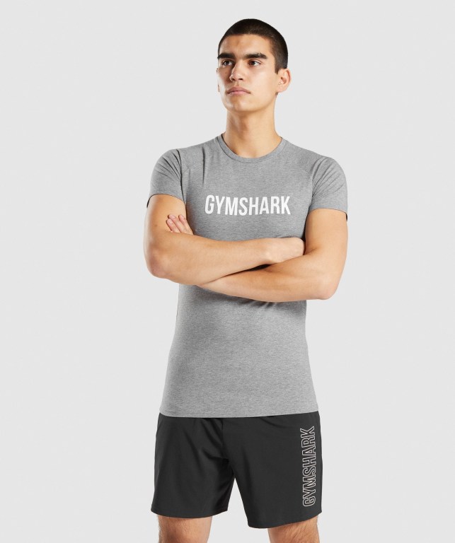 Sudaderas Gymshark Apollo Hombre Grises | wMm1cesbtwo