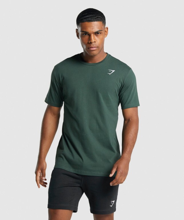 Sudaderas Gymshark Crest Hombre Verdes Oscuro | M3BrOw2XRZA