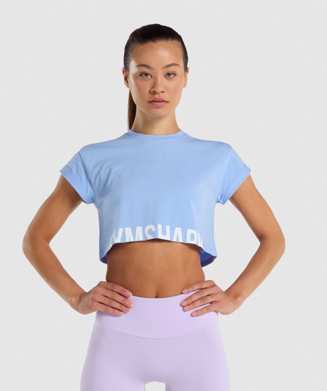 Sudaderas Gymshark Fraction Crop Top Mujer Azules Claro | 96oJ6Elvade