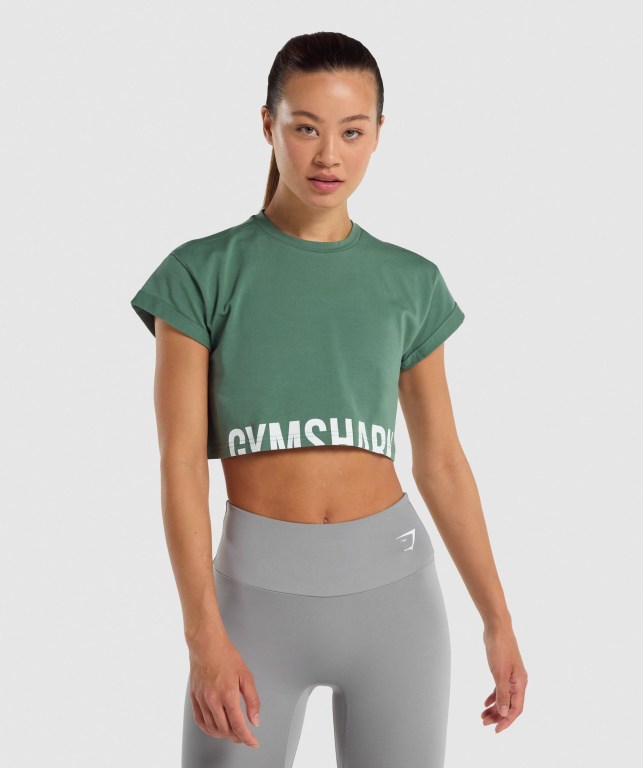 Sudaderas Gymshark Fraction Crop Top Mujer Verdes | VOlItxQBfy3