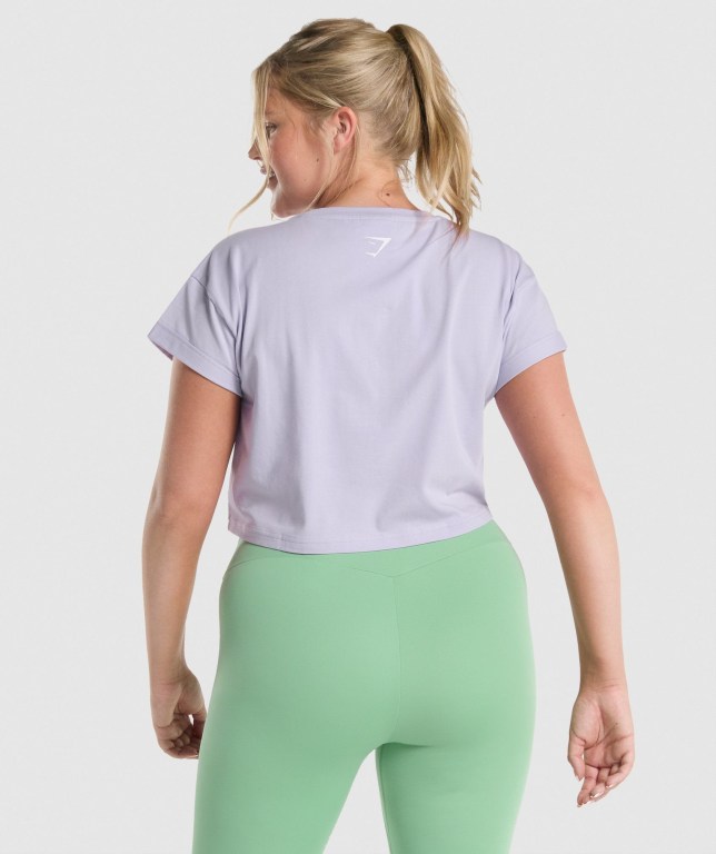 Sudaderas Gymshark Fraction Crop Top Mujer Morados Claro | j5bcU6ACcoK