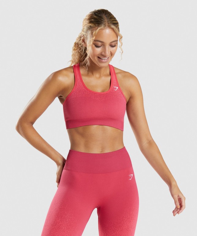 Sujetadores Deportivos Gymshark Adapt Ombre Seamless Sports Bra Mujer Rosas Rojos | ji5EGUSuxoF