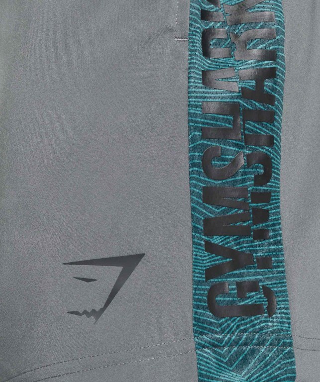 Bermudas Gymshark Graphic Deporte Hombre Grises | C3gvgDKeBeg