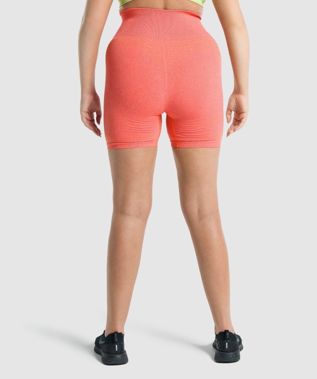 Bermudas Gymshark Vital Seamless 2.0 Mujer Naranjas | jVAiIs4oTsQ