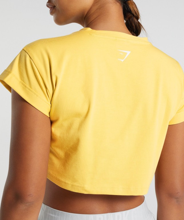 Camiseta Gymshark Animal Graphic Infill Crop Mujer Amarillos | 9rZELD3UXKi