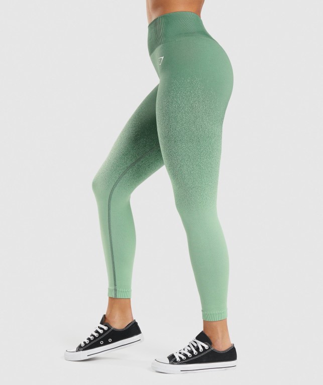 Leggins Gymshark Adapt Ombre Seamless Mujer Verdes Verdes Claro | 1WzwCyQbfyK