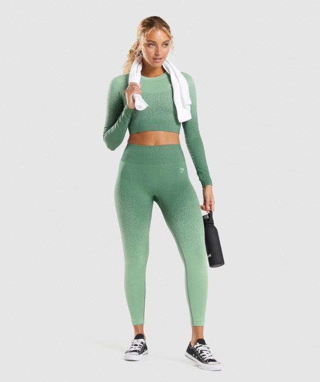 Leggins Gymshark Adapt Ombre Seamless Mujer Verdes Verdes Claro | 1WzwCyQbfyK