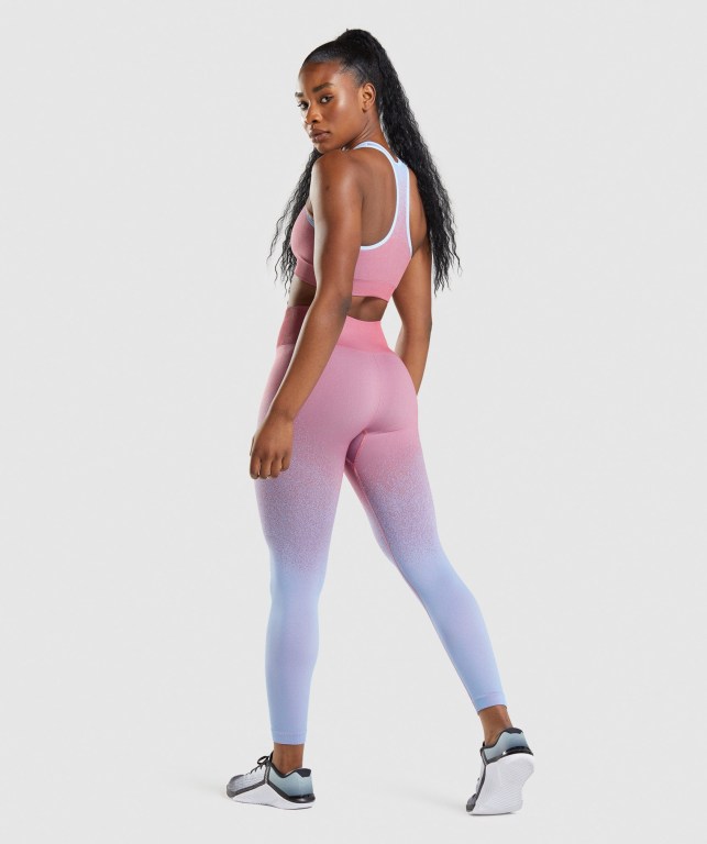 Leggins Gymshark Adapt Ombre Seamless Mujer Rosas Rosas Azules Claro | S79CR3X3dtD