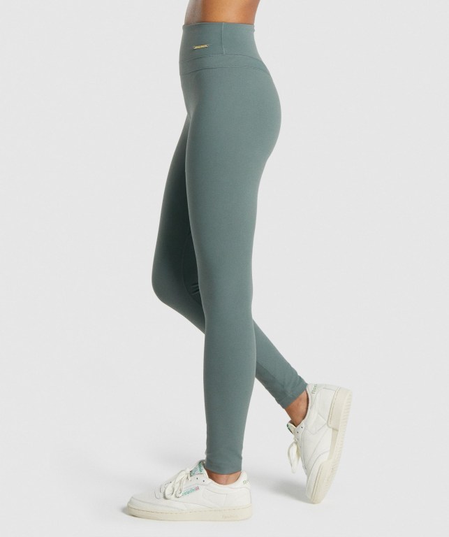 Leggins Gymshark Whitney High Rise Mujer Verdes | R1PrCqSXRoy