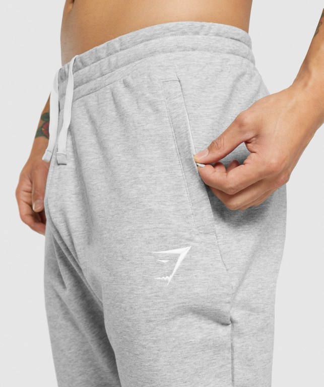 Pantalones Jogger Gymshark Critical 2.0 Hombre Grises Claro | 1ppEveHXfoT