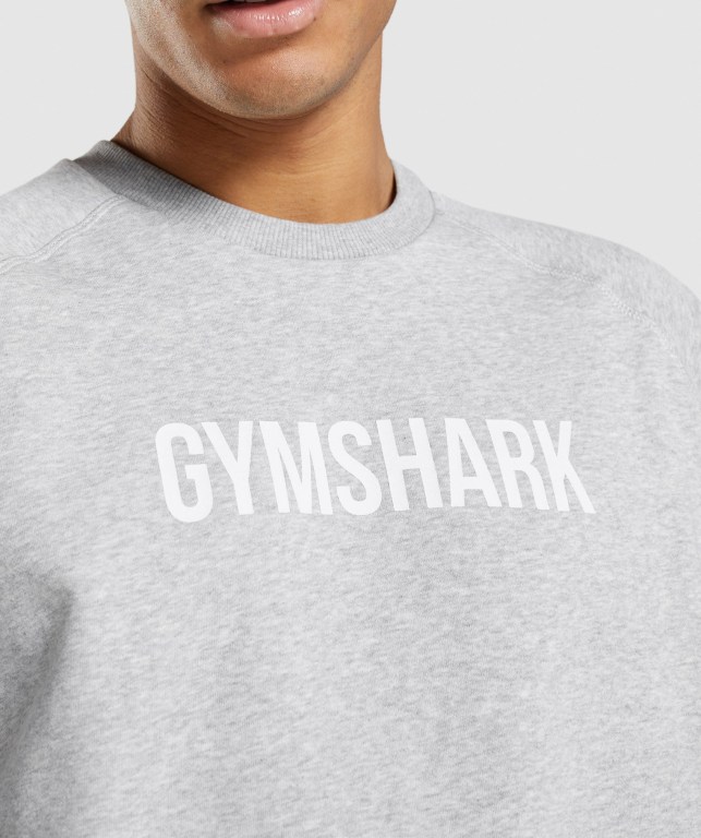 Pullover Gymshark Apollo Crew Hombre Grises Claro | bcS24EPzPMu