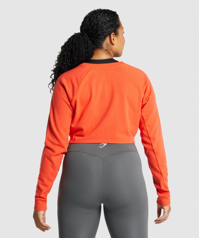 Pullover Gymshark Apollo Graphic Cropped Sueter Mujer Naranjas | ydX9ipLWZIz