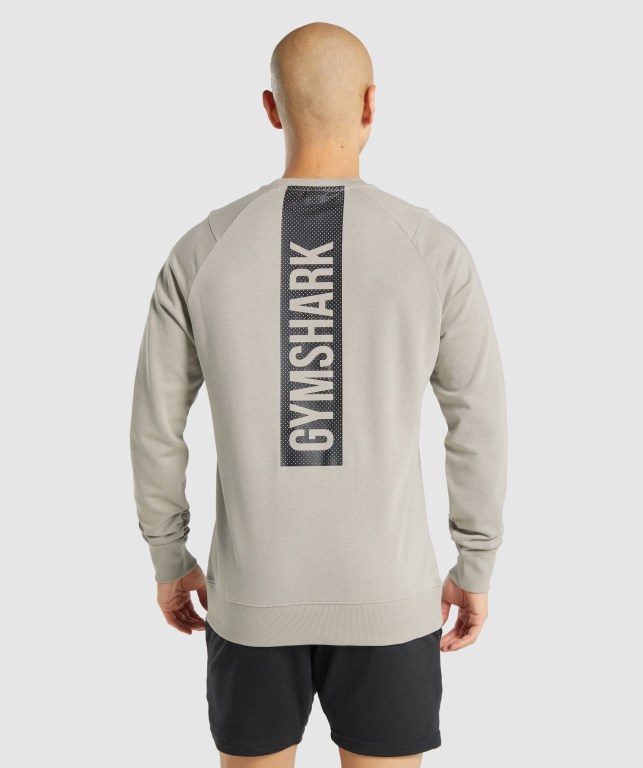 Pullover Gymshark Bold Crew Hombre Grises | EdKVKtNbIMm