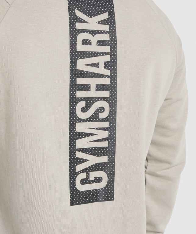 Pullover Gymshark Bold Crew Hombre Grises | EdKVKtNbIMm