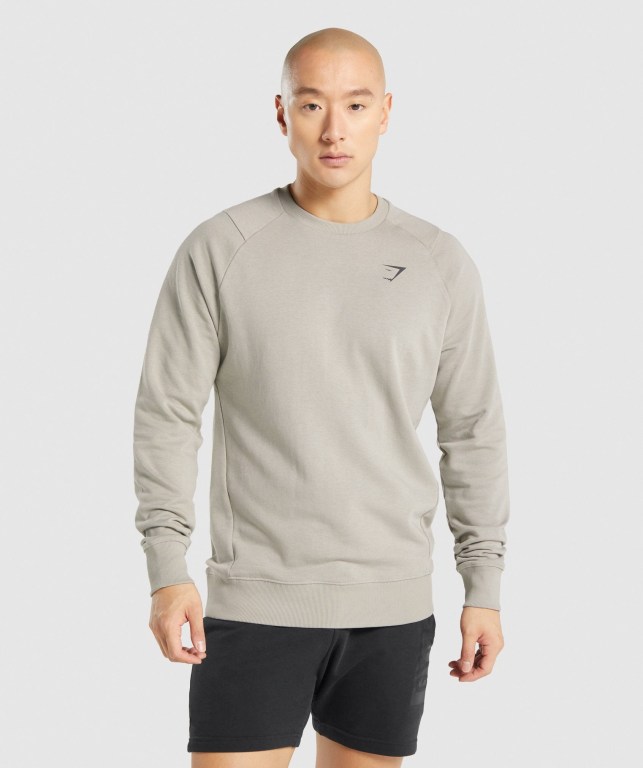 Pullover Gymshark Bold Crew Hombre Grises | EdKVKtNbIMm