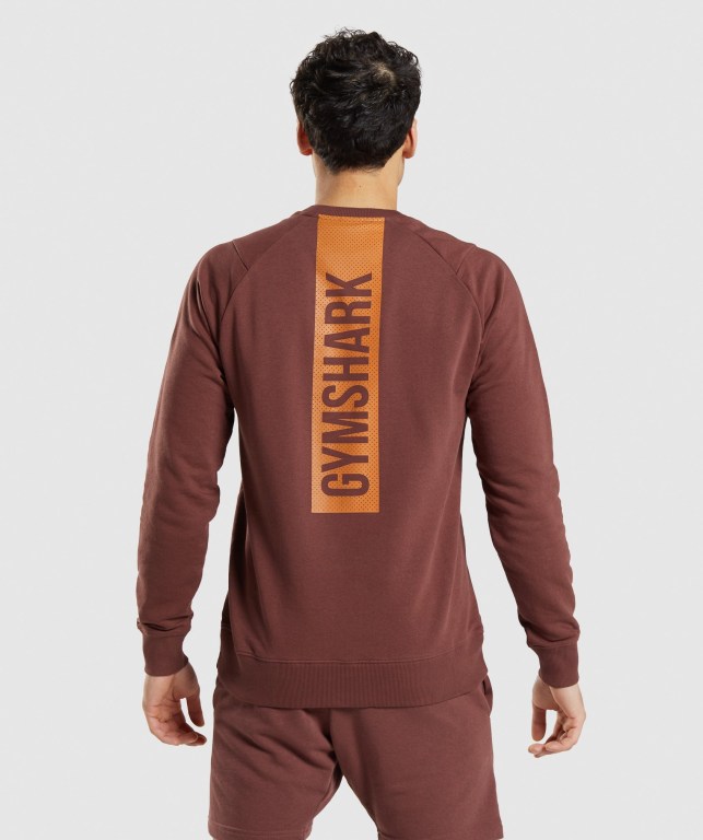 Pullover Gymshark Bold Crew Hombre Rosas Marrom | 5VH7MsLNoXc