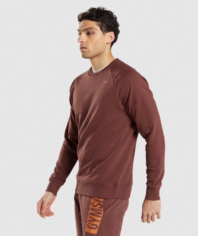 Pullover Gymshark Bold Crew Hombre Rosas Marrom | 5VH7MsLNoXc