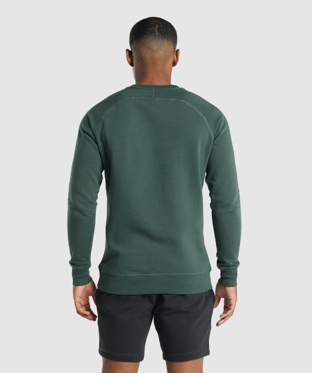 Pullover Gymshark Crest Sweatshirt Hombre Verdes Oscuro | NeoDSYE2u2k