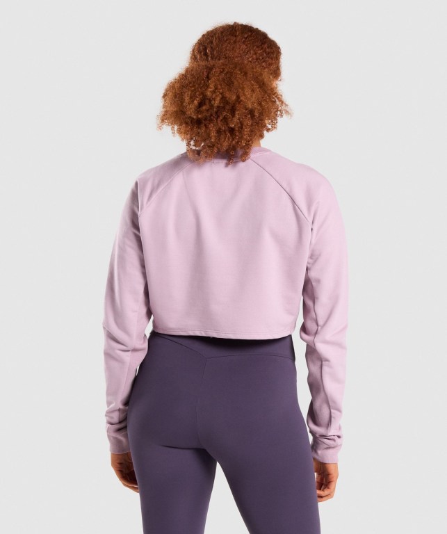 Pullover Gymshark Entrenamiento Cropped Sueter Mujer Morados Claro | JA5RaNgq8E6