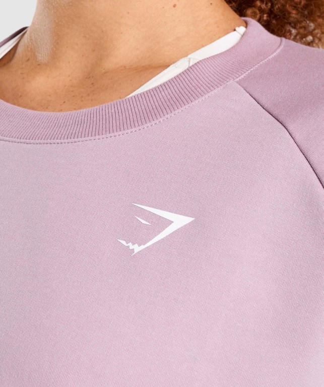 Pullover Gymshark Entrenamiento Cropped Sueter Mujer Morados Claro | JA5RaNgq8E6