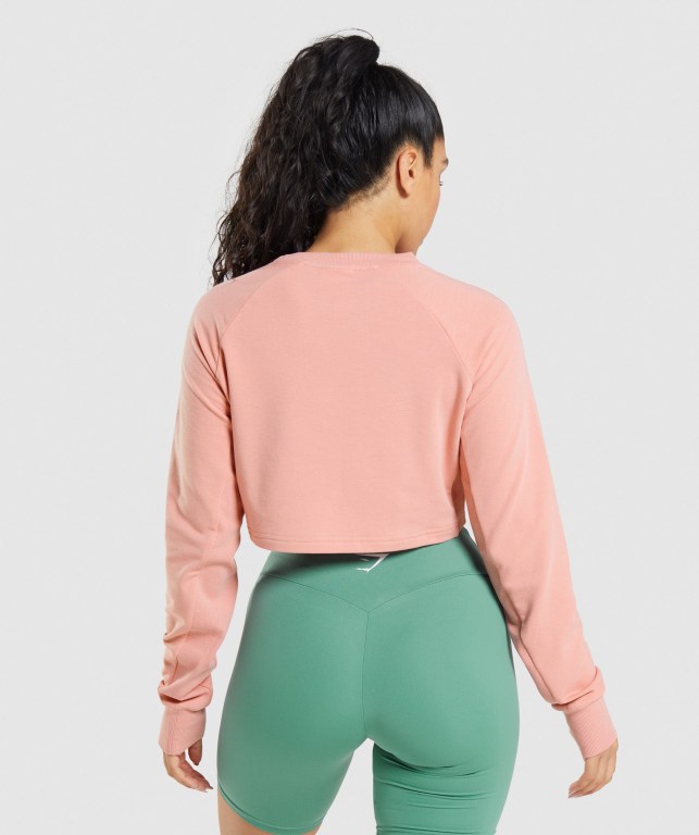 Pullover Gymshark Entrenamiento Cropped Sueter Mujer Rosas | NtlqqkeZtJR