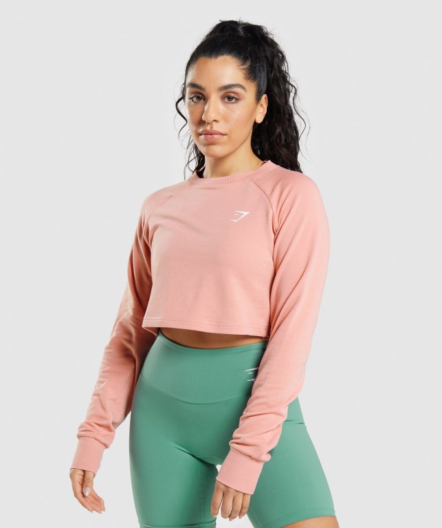 Pullover Gymshark Entrenamiento Cropped Sueter Mujer Rosas | NtlqqkeZtJR