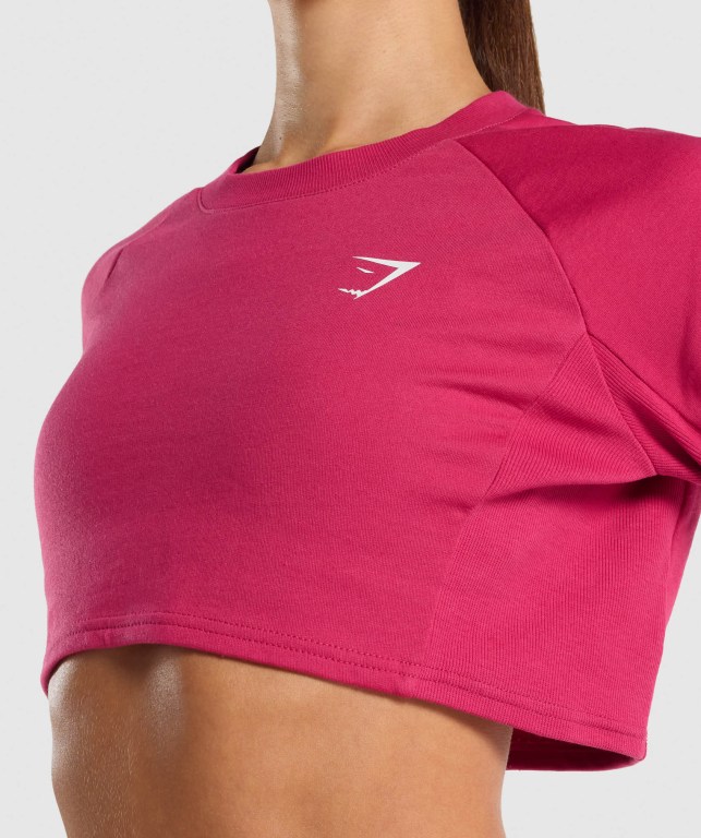 Pullover Gymshark Entrenamiento Cropped Sueter Mujer Rosas | ZMf4uzE2FGy