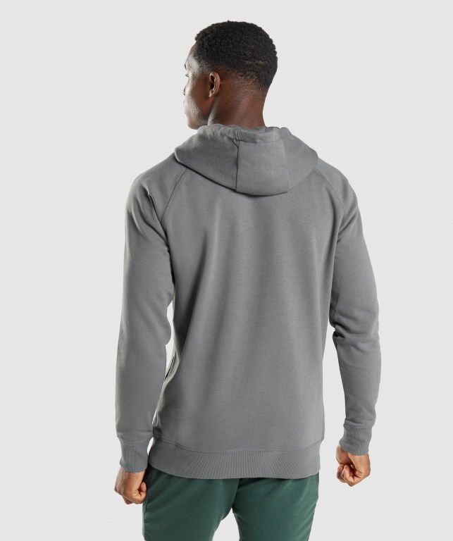 Pullover Gymshark Sharkhead Infill Hombre Grises | 3RlQId2XjpP