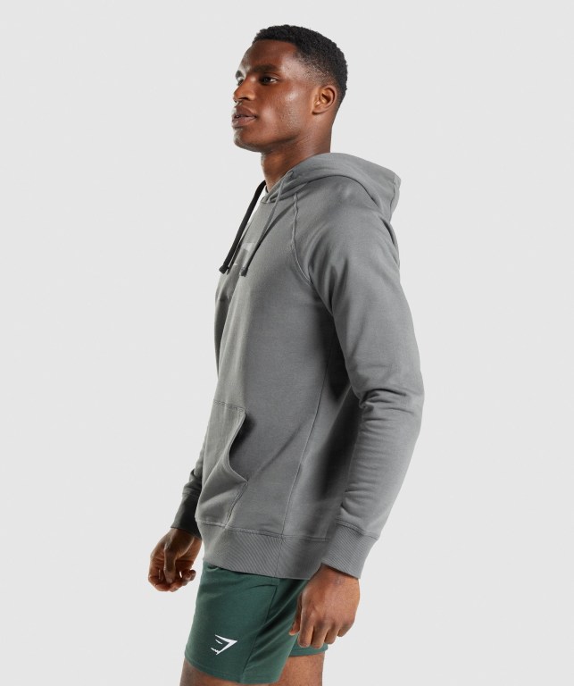 Pullover Gymshark Sharkhead Infill Hombre Grises | 3RlQId2XjpP