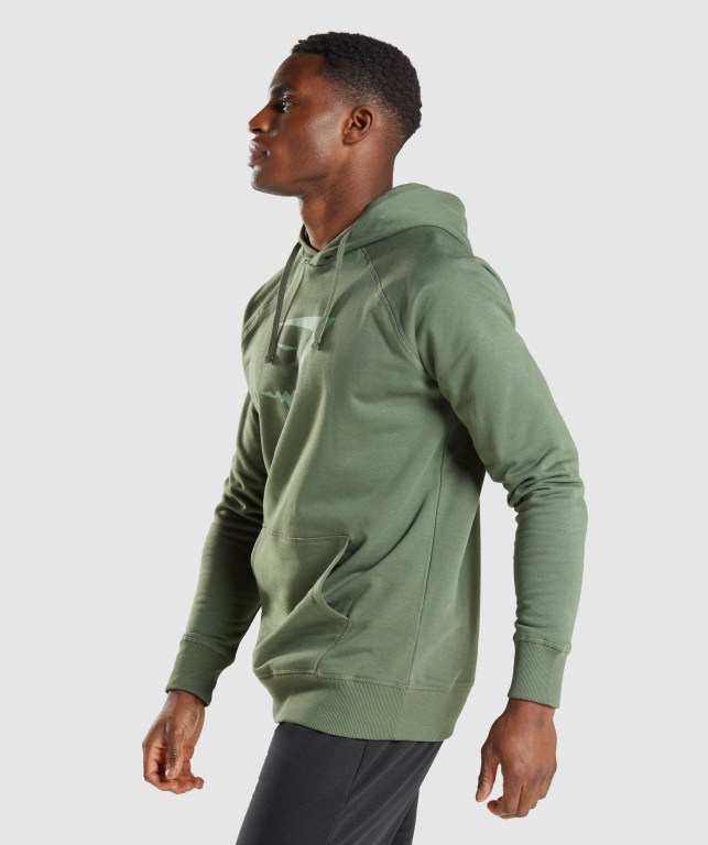 Pullover Gymshark Sharkhead Infill Hombre Verdes | kw9XqWNSI8m