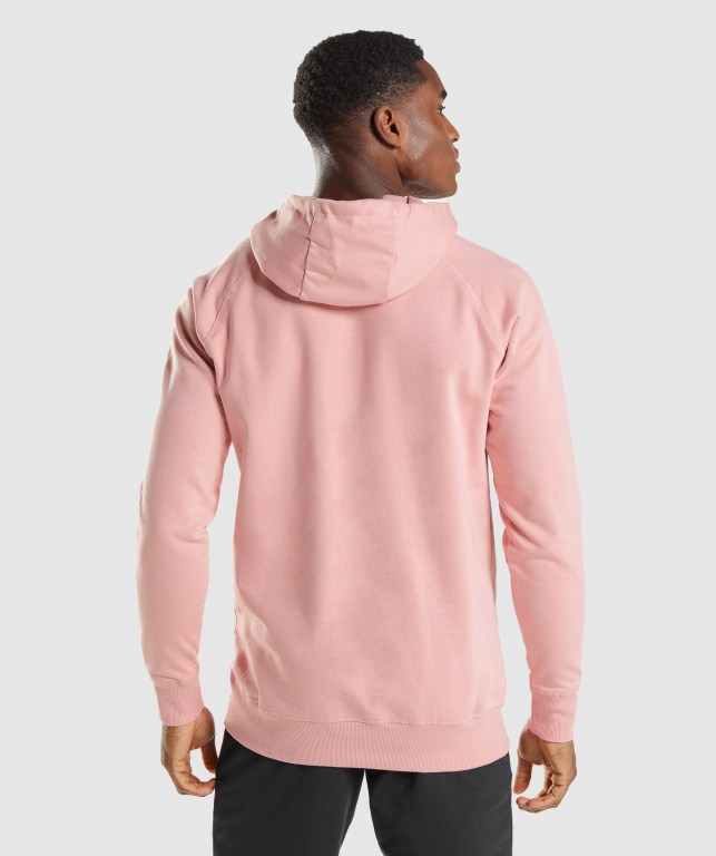 Pullover Gymshark Sharkhead Infill Hombre Rosas | ungKn4R7RQ4