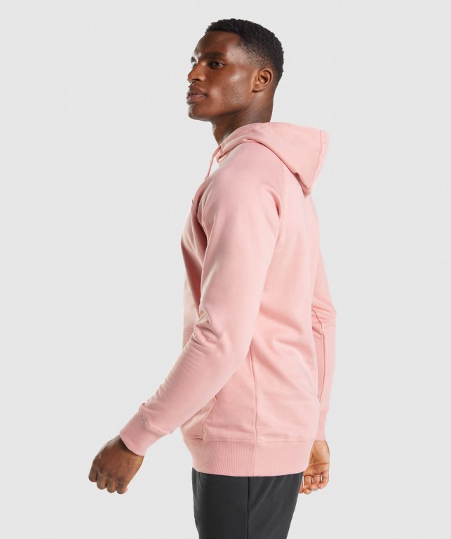 Pullover Gymshark Sharkhead Infill Hombre Rosas | ungKn4R7RQ4