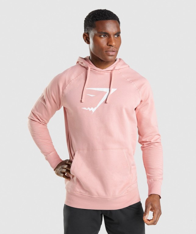 Pullover Gymshark Sharkhead Infill Hombre Rosas | ungKn4R7RQ4