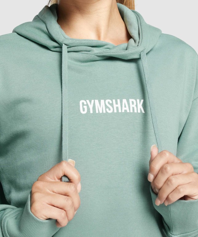 Sudadera Con Capucha Gymshark Apollo Graphic Oversized Mujer Verdes Claro | pfxjBnPpD7Y