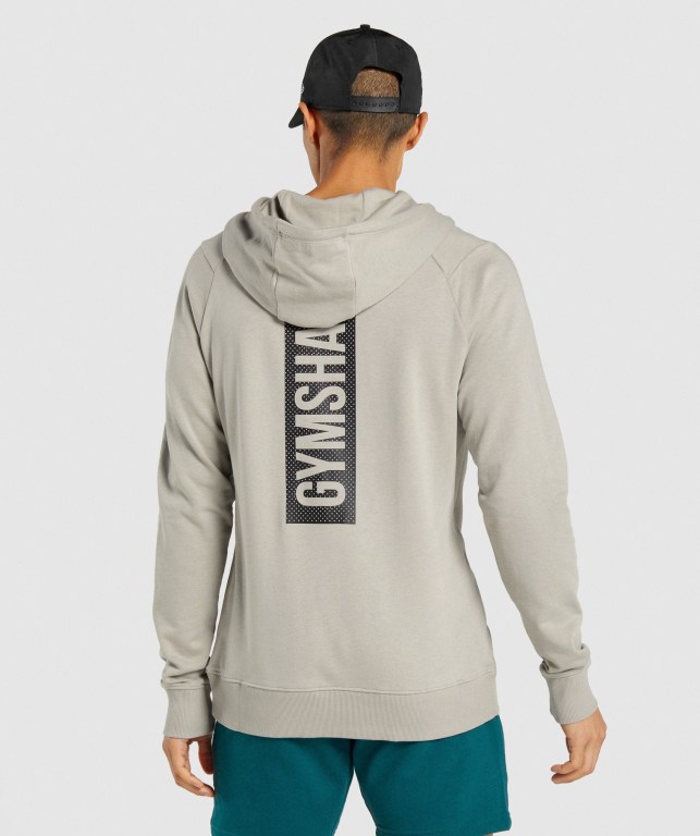 Sudadera Con Capucha Gymshark Bold Hombre Grises | hQGEz63Is4M