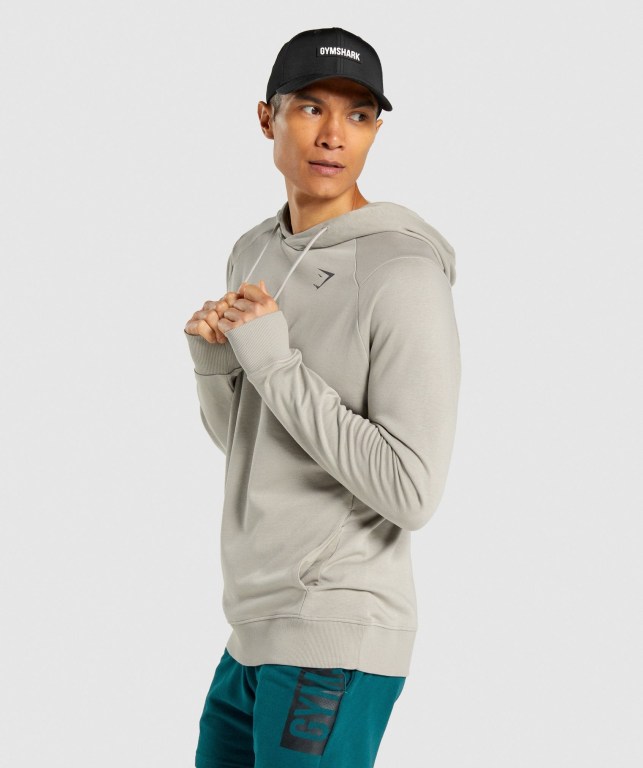 Sudadera Con Capucha Gymshark Bold Hombre Grises | hQGEz63Is4M