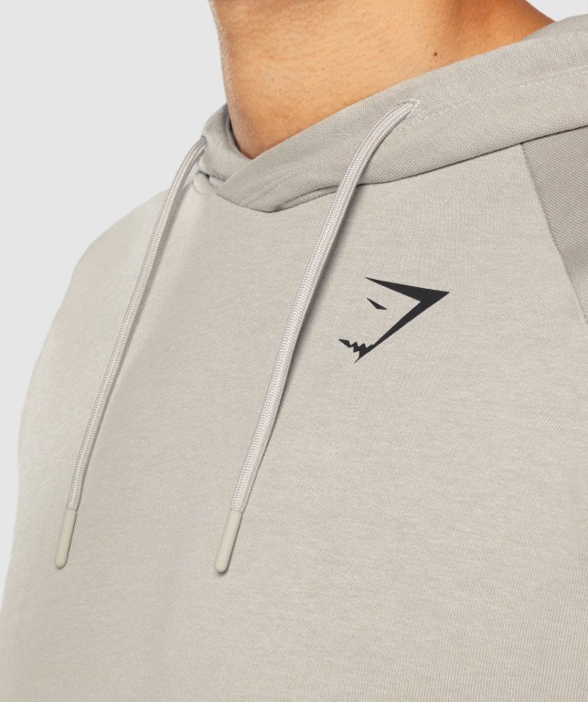 Sudadera Con Capucha Gymshark Bold Hombre Grises | hQGEz63Is4M