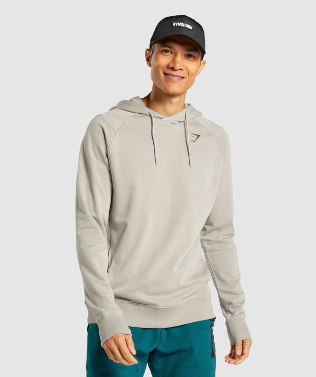 Sudadera Con Capucha Gymshark Bold Hombre Grises | hQGEz63Is4M