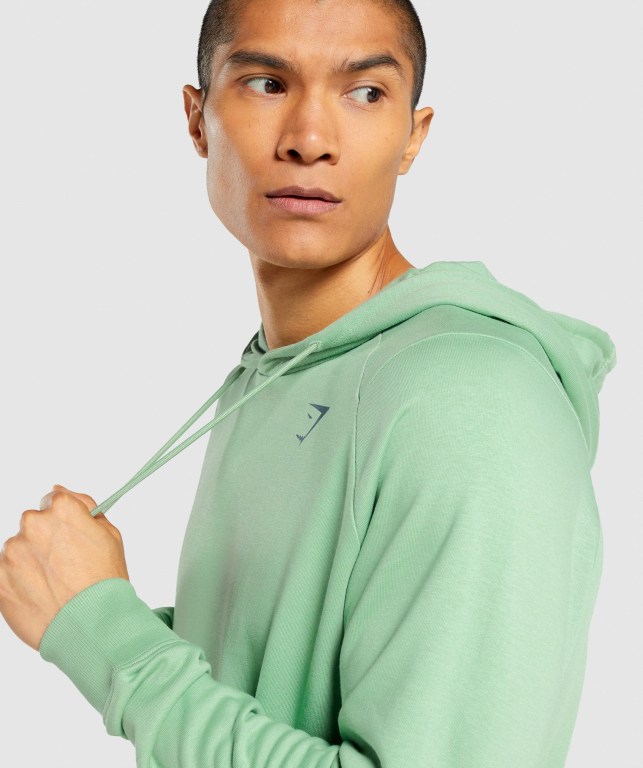 Sudadera Con Capucha Gymshark Bold Hombre Verdes | wY1Y7zZ249F