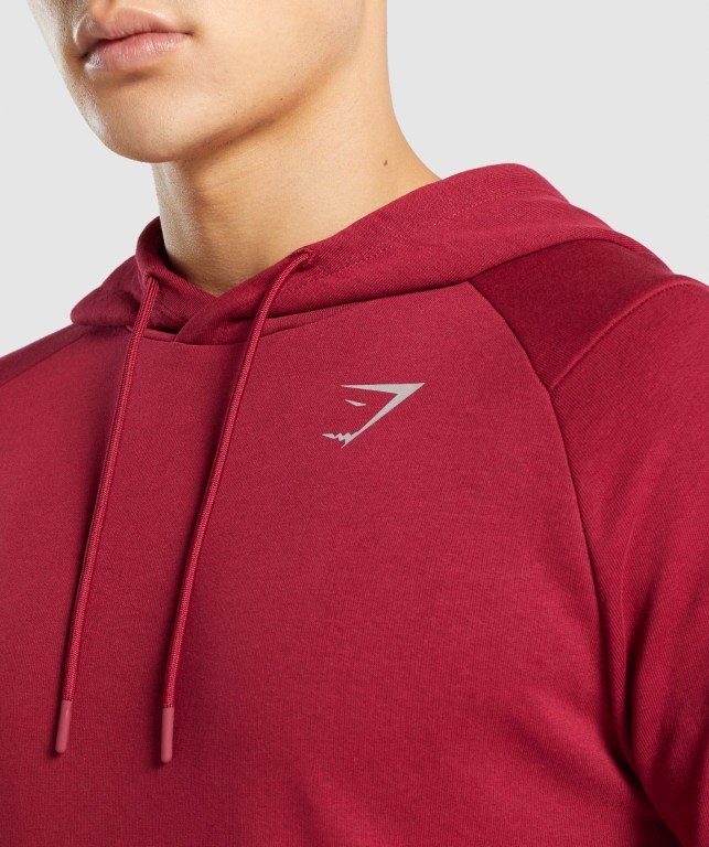 Sudadera Con Capucha Gymshark Bold Hombre Vino | yqkApvZXmc5