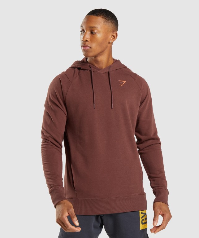 Sudadera Con Capucha Gymshark Bold Hombre Rosas Marrom | zznVfDUYKuc