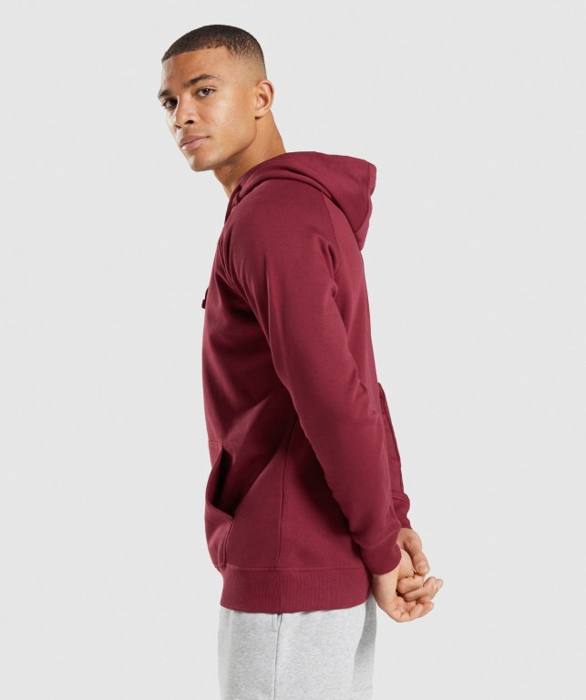 Sudadera Con Capucha Gymshark Crest Hombre Vino Rojos | 2FFJaH5iEU8